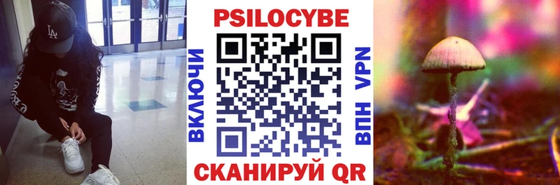 ссылка на мегу ссылки  Медынь  Псилоцибиновые грибы Cubensis 